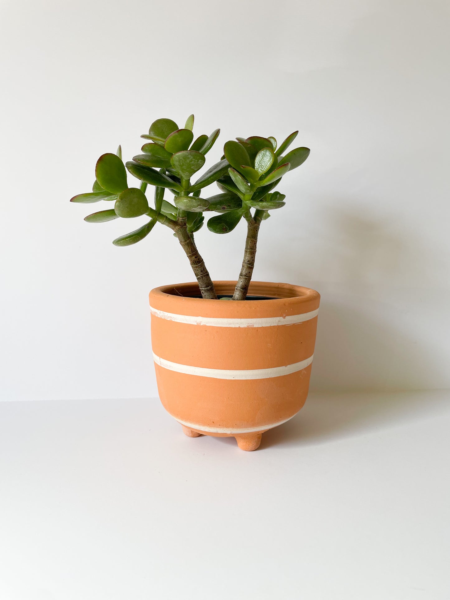 Kyr Terracotta Pot